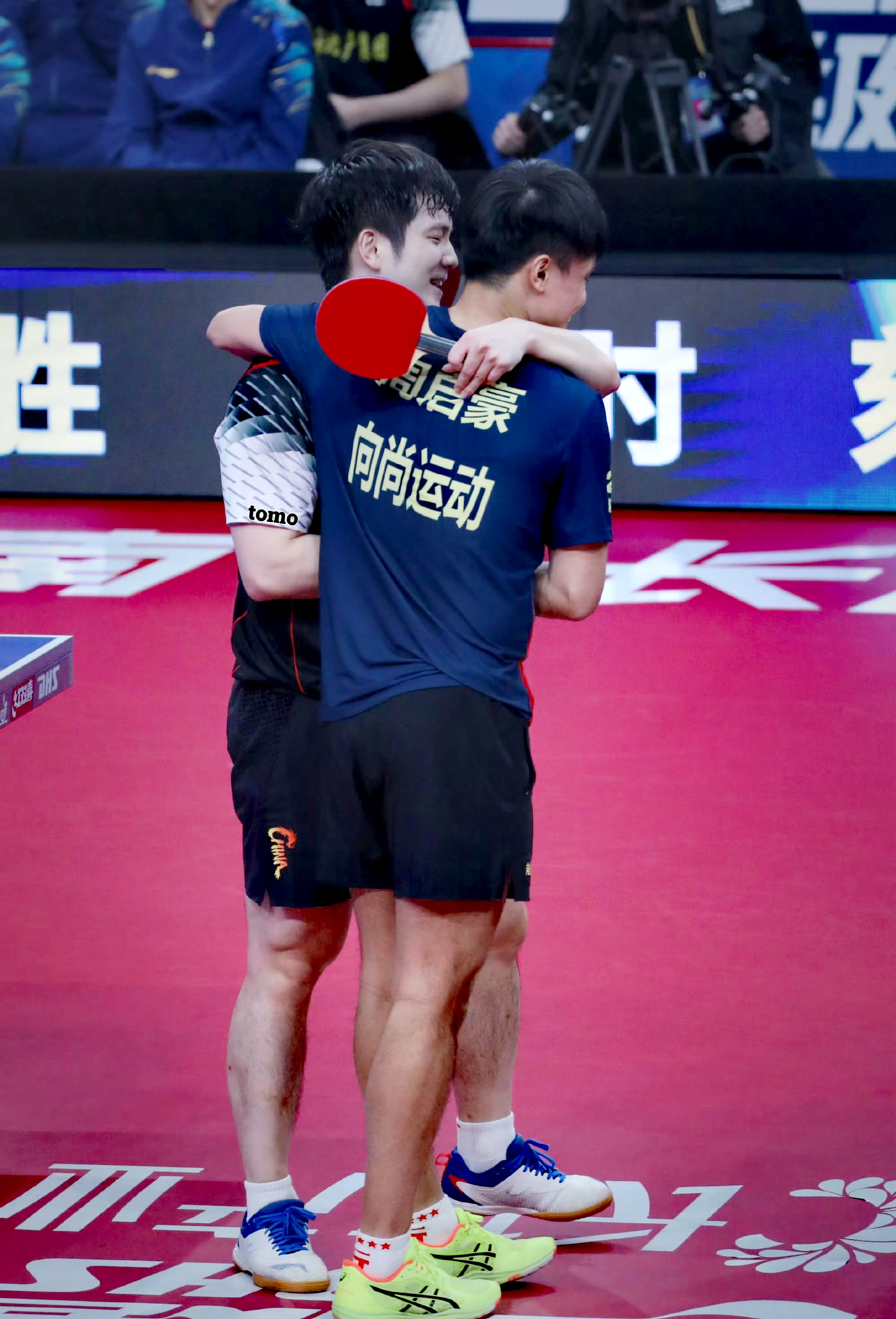 日本队横扫波兰队，樊振东高光表现