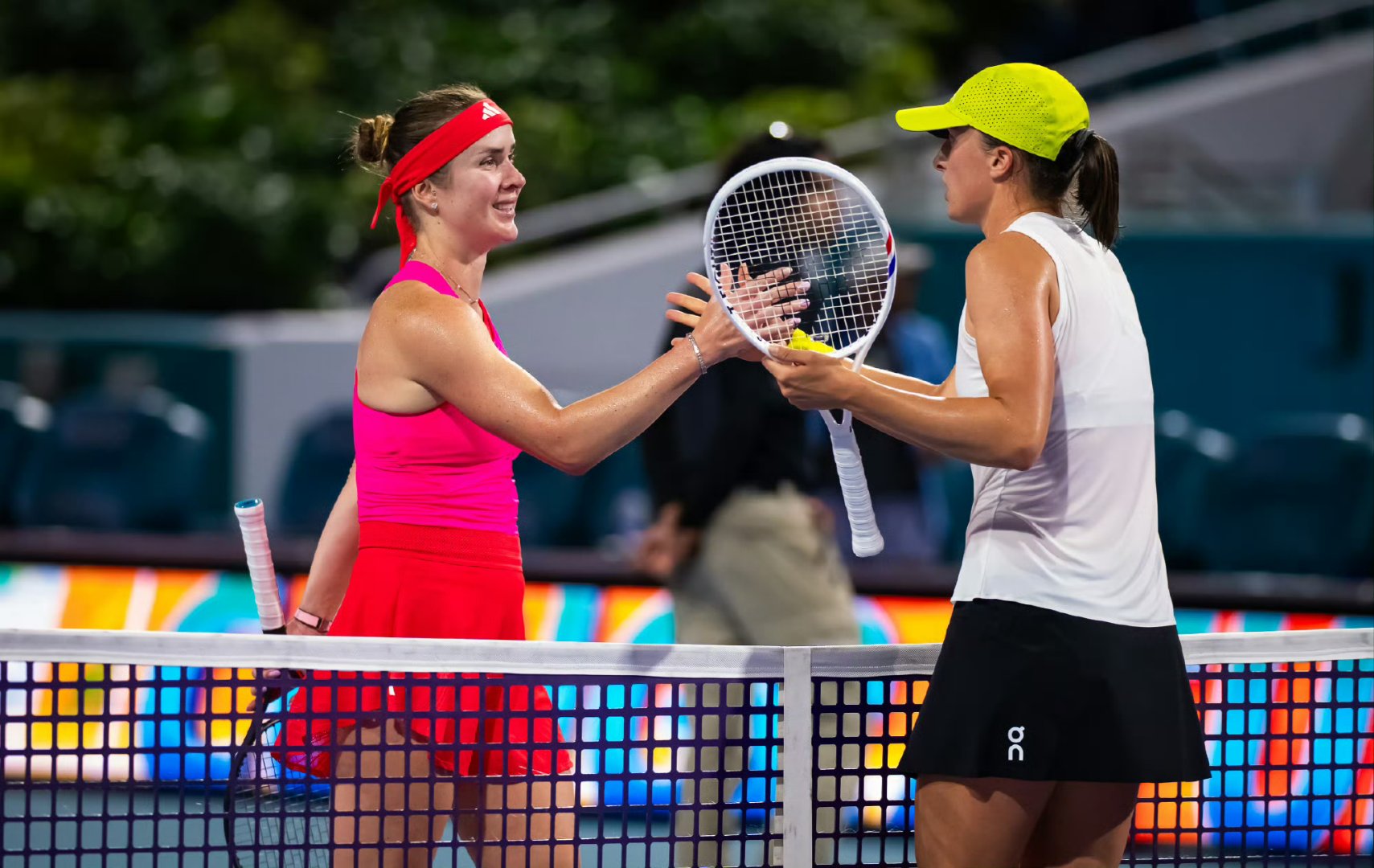 戴维斯杯完胜法网,蒂姆点燃赛场 戴维斯杯完胜法网,蒂姆点燃赛场