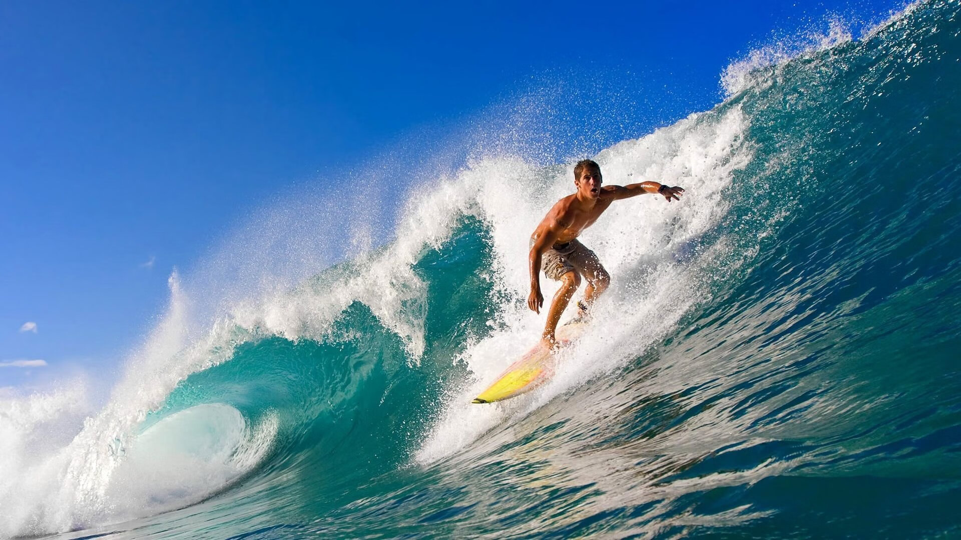 东决关键战之夜，武切维奇冠军级表现